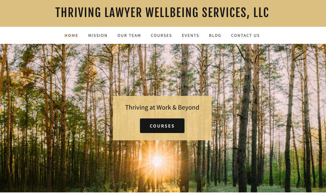 Thriving Lawyer Wellbeing Services